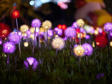 flower lights