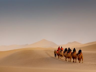 Mingsha Shan Camels at Gansu
