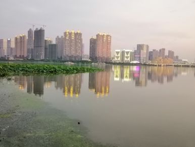 Shahu Lake-Wuhan